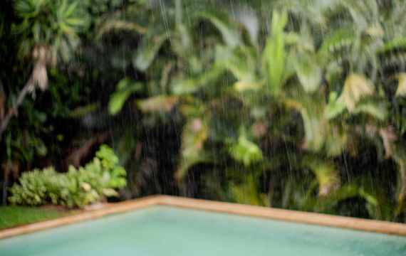 Rain Dance